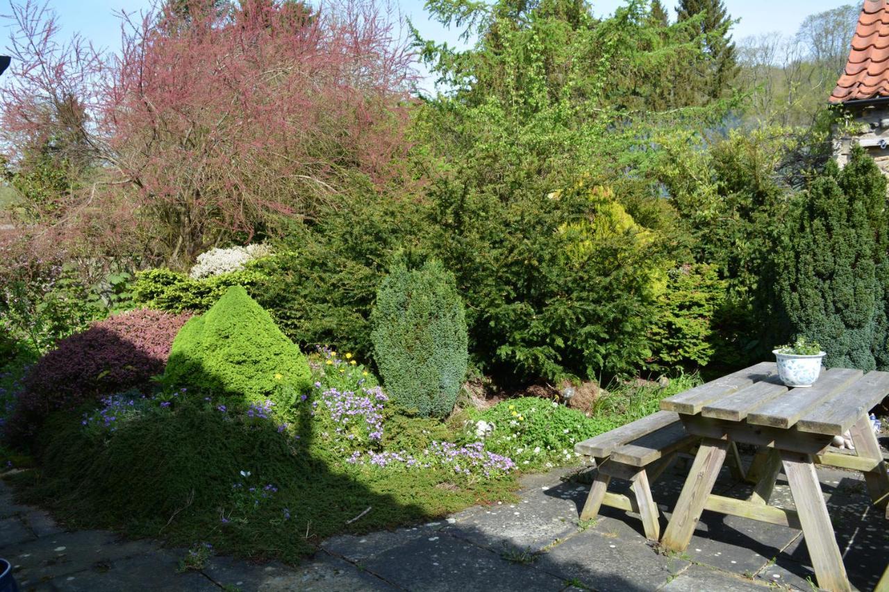 Bohemianbreezebreaks Bed and Breakfast Thornton Dale Exteriör bild