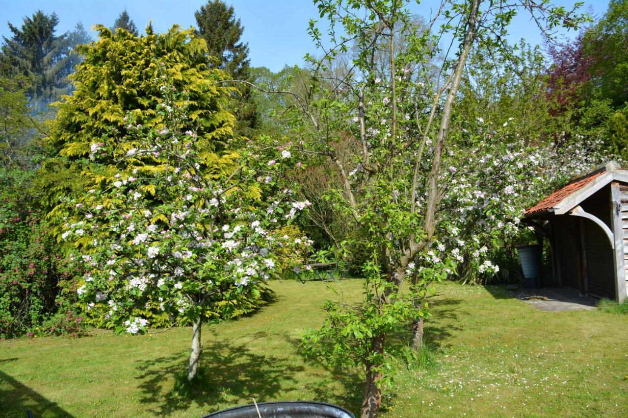 Bohemianbreezebreaks Bed and Breakfast Thornton Dale Exteriör bild